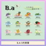 B.A 5代主機煙彈電子煙一盒三顆