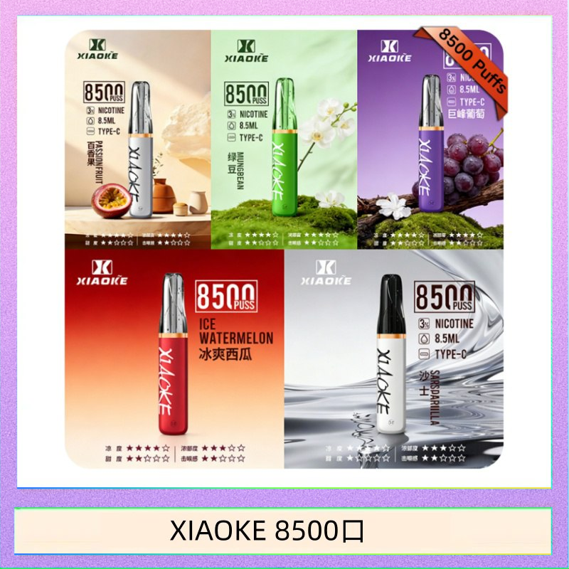 XIAOKE 8500口 梟客XIAOKE一次性電子菸拋棄式8500口